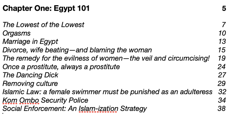 Excerpt from Chapter One of An American Woman Living in Egypt: Life during an Islamic takeover